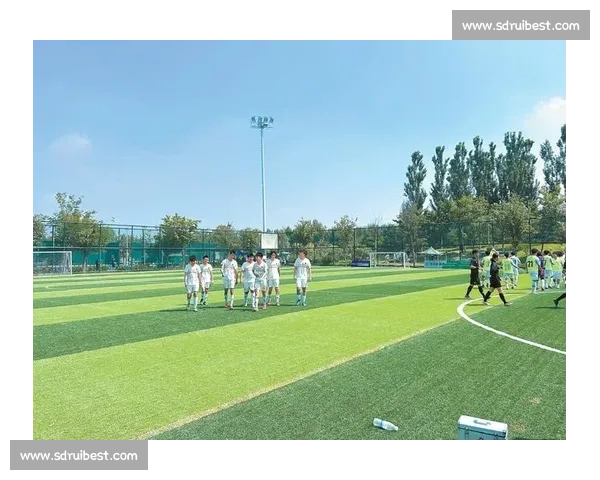 百队杯球场:热血与成长的十年印记 百队杯球场:热血与成长的十年印记